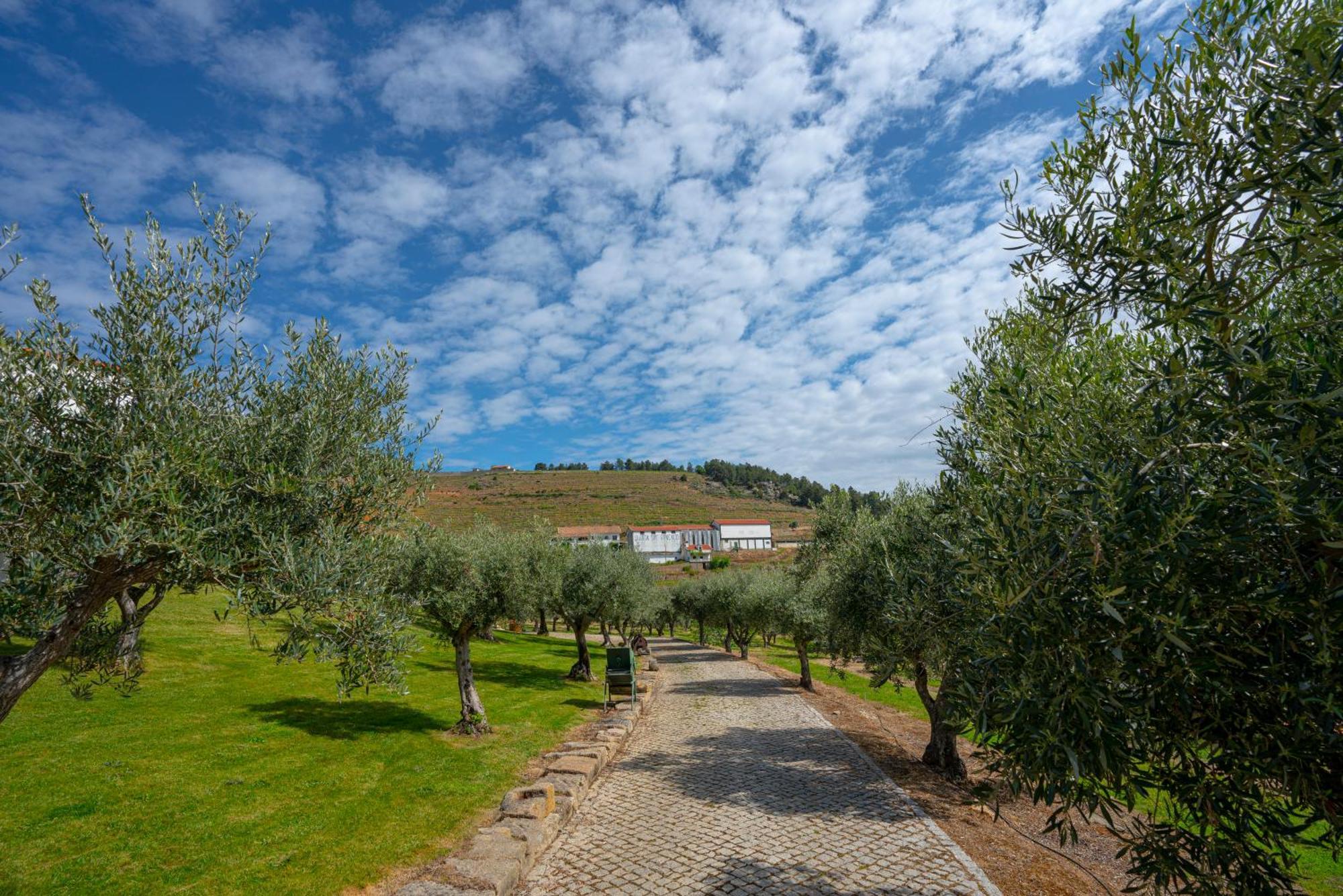 Valonquinta - Agro Hotel & Spa Vila Flor Exterior foto